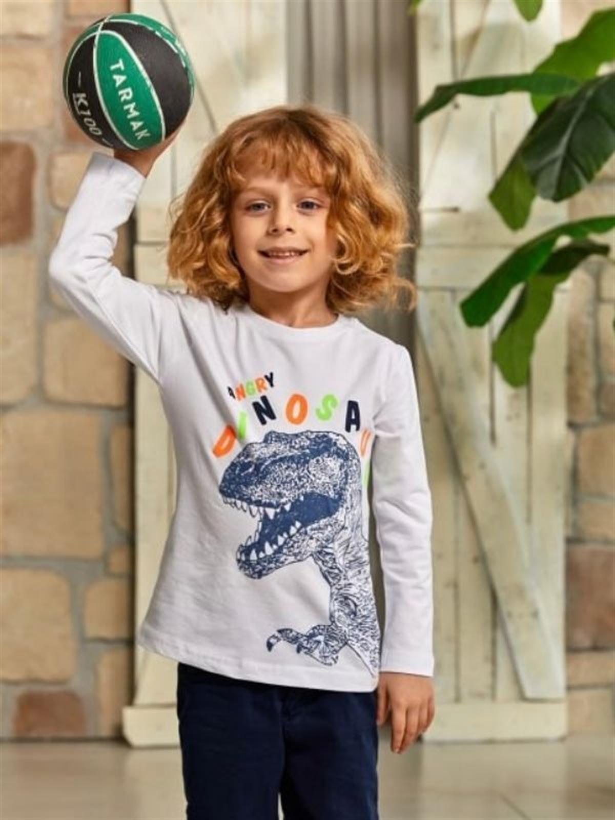 Erkek Çocuk Dinazor Baskılı İnce Uzun Kollu Bluz