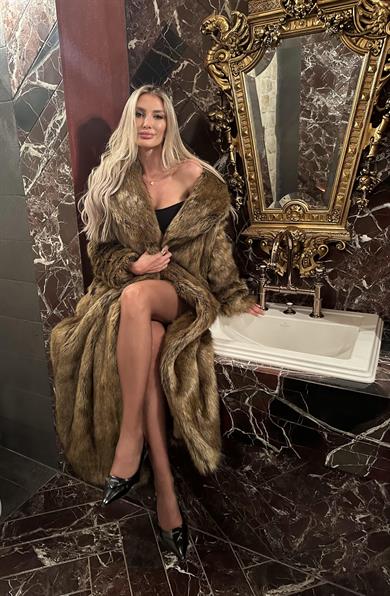 Velvet royale