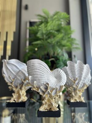 3LÜ DENİZ KABUĞU İSTİRİDYE BEYAZ