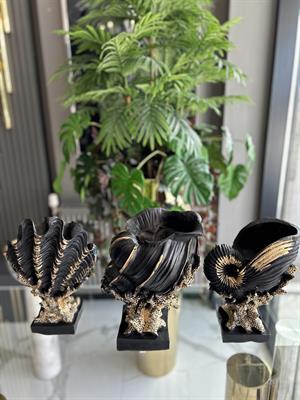 3LÜ DENİZ KABUĞU İSTİRİDYE-SİYAH