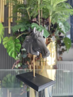 AT BAŞI BİBLO GRİ