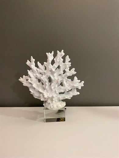 KRİSTAL MERCAN BEYAZ