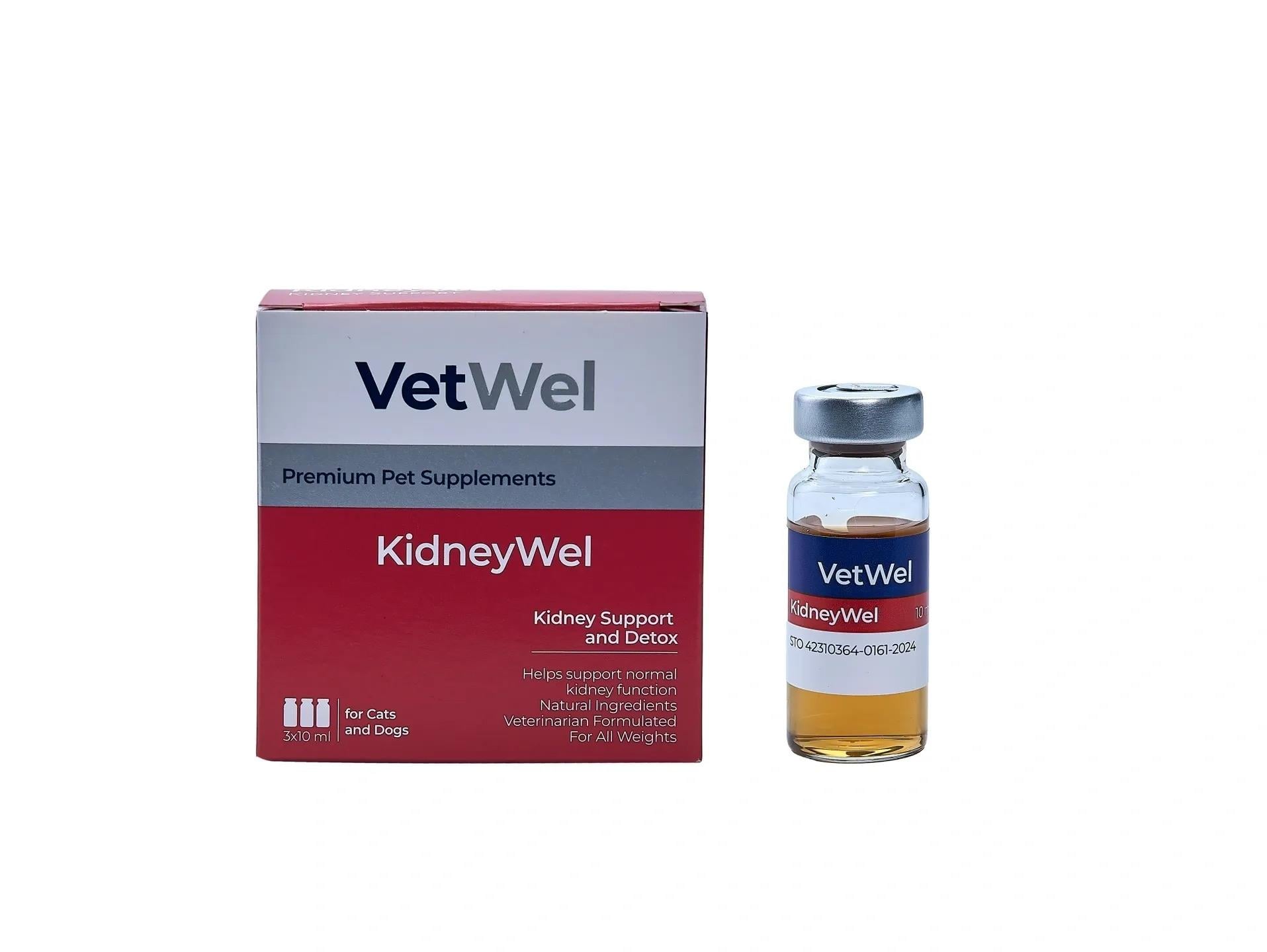 VetWel KidneyWel Likid Kedi ve Köpekler İçin Böbrek Destekleyici Takviye