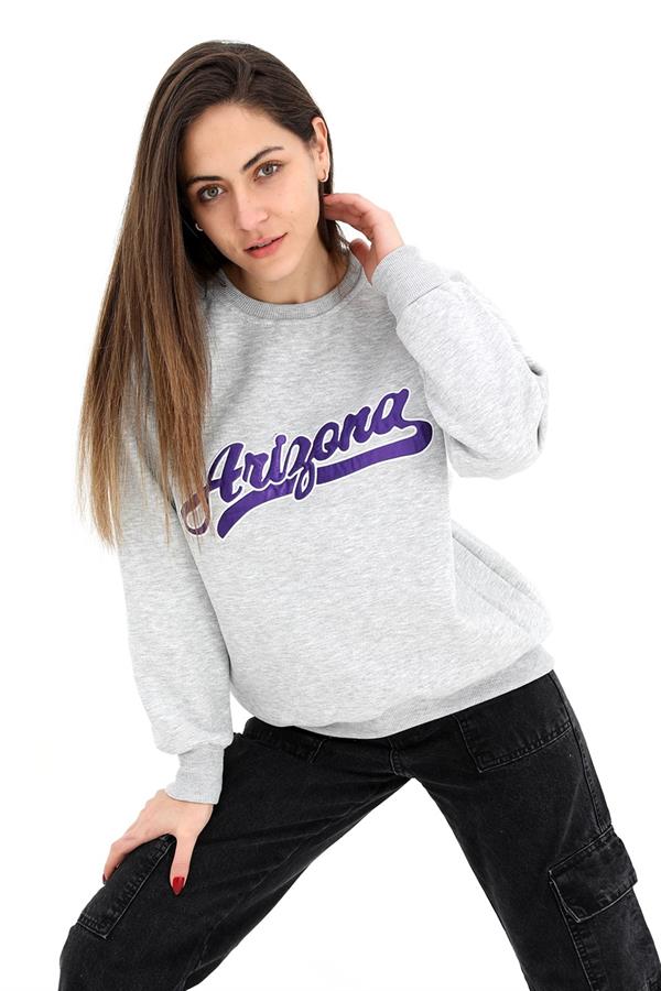 Bisiklet Yaka Aplike Nakışlı Üç İplik Sweat - Gri