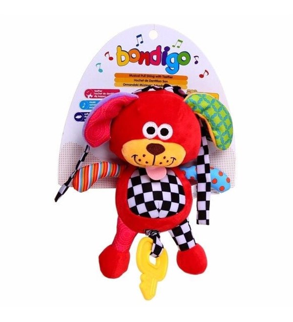 Bondigo Ormandaki Müzisyen Arkadaşım Köpek BP2517