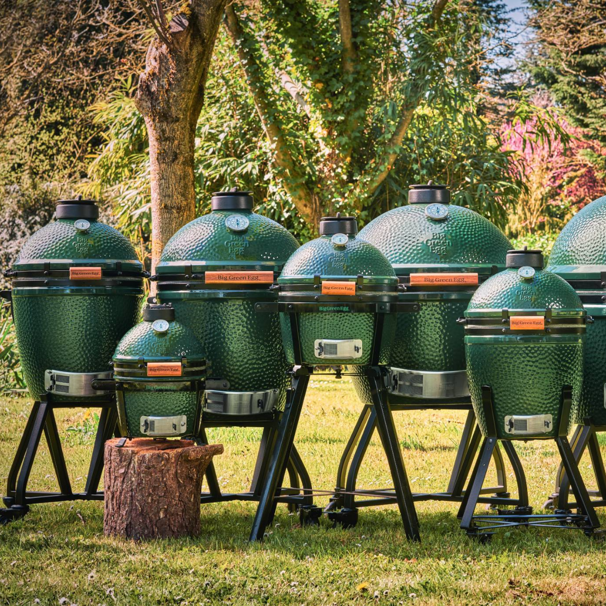 Big Green Egg
