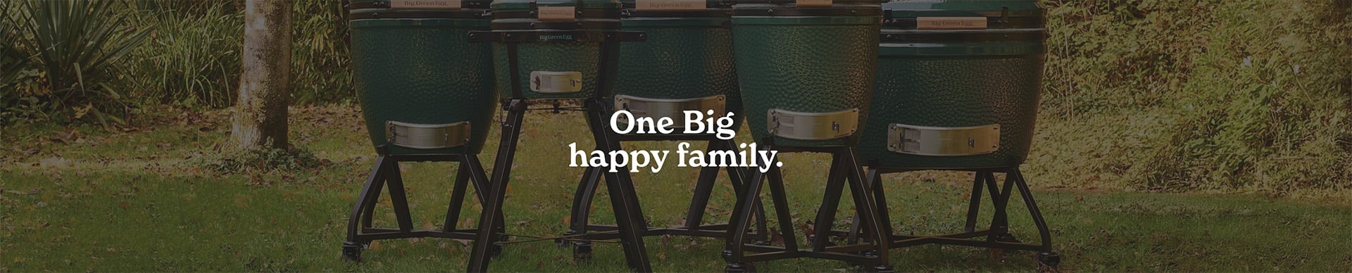 Big Green Egg Banner