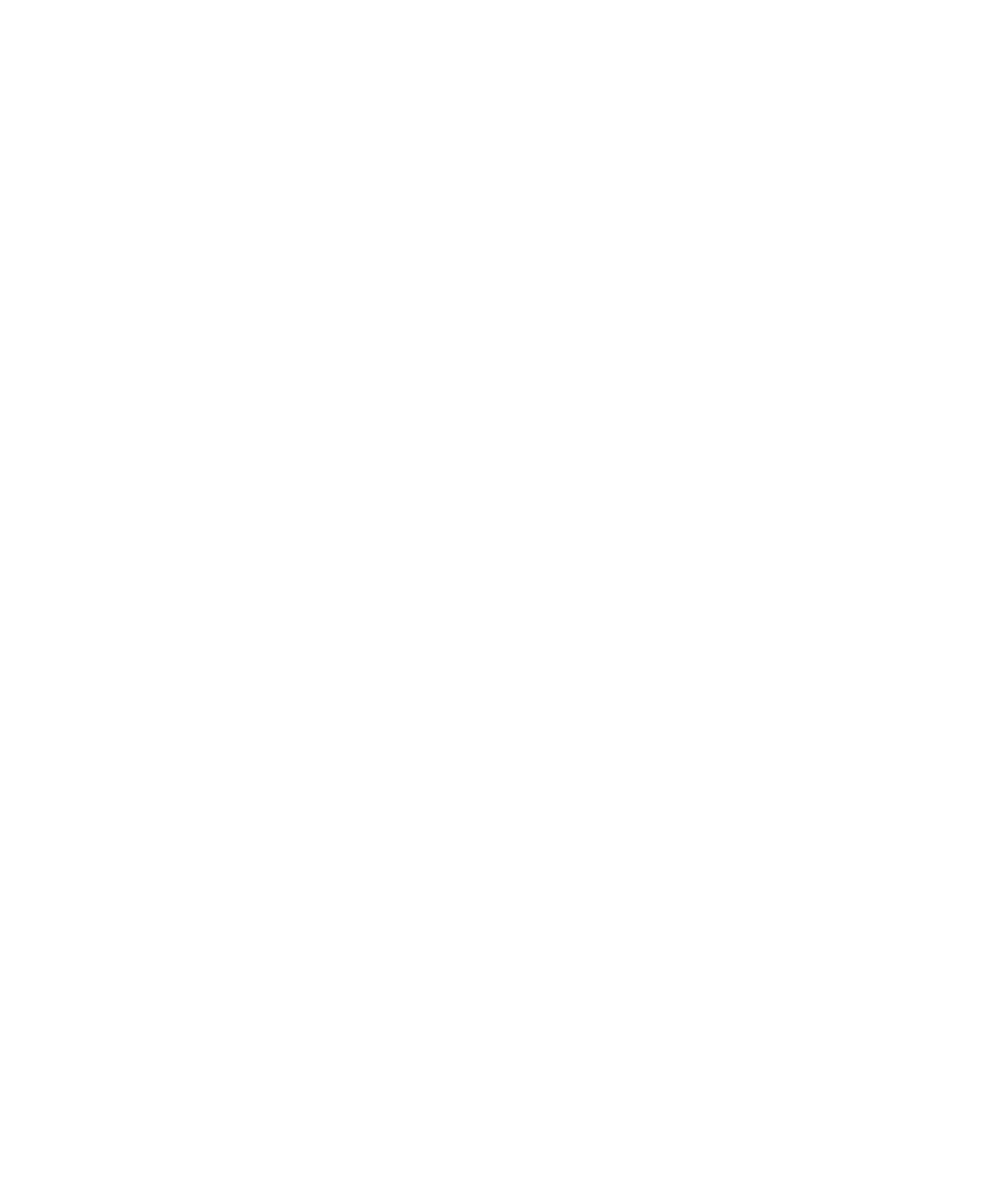 Big Green Egg
