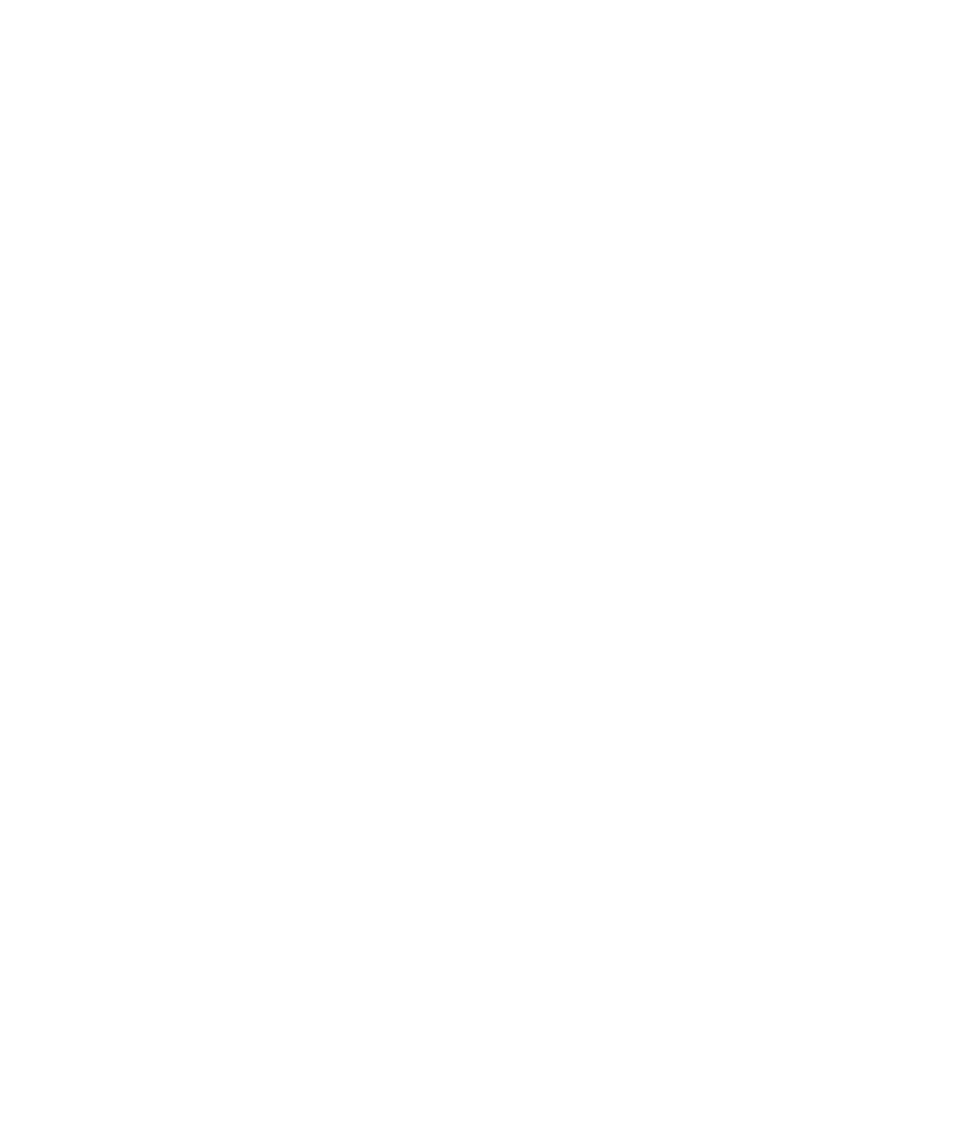 Big Green Egg