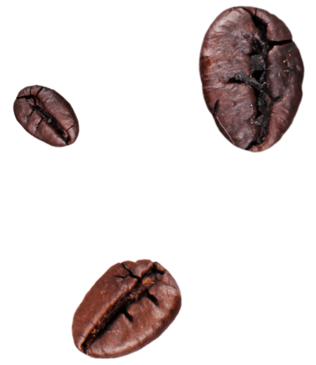 Kahve çekirdeği