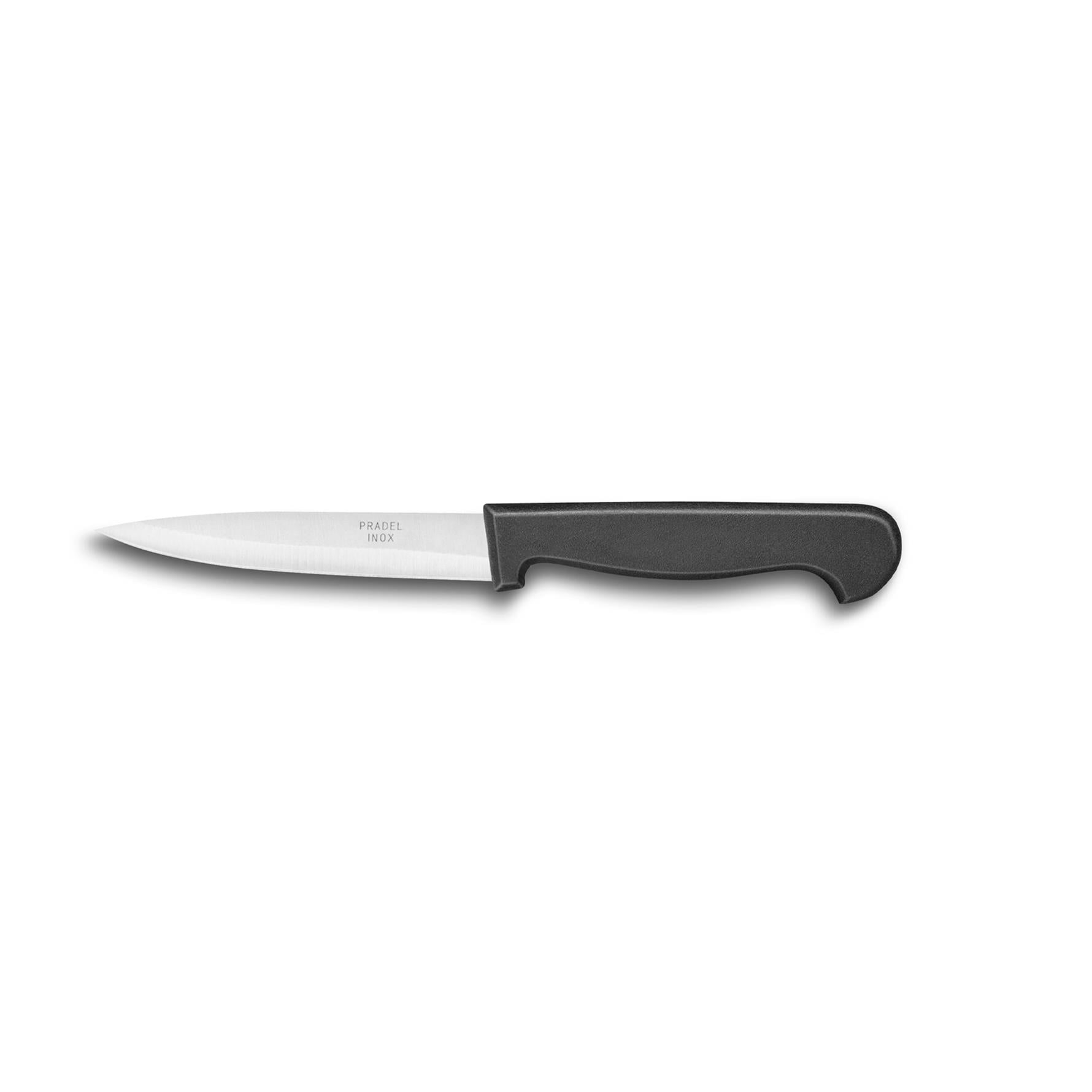 Sabatier Soyma Bıçağı 10 cm