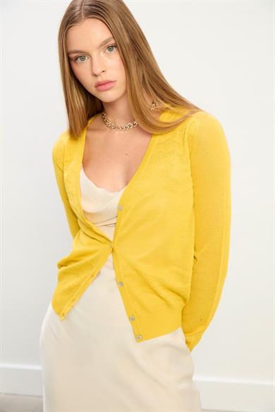 Charlotte Önü Desenli Hırka-Sarı