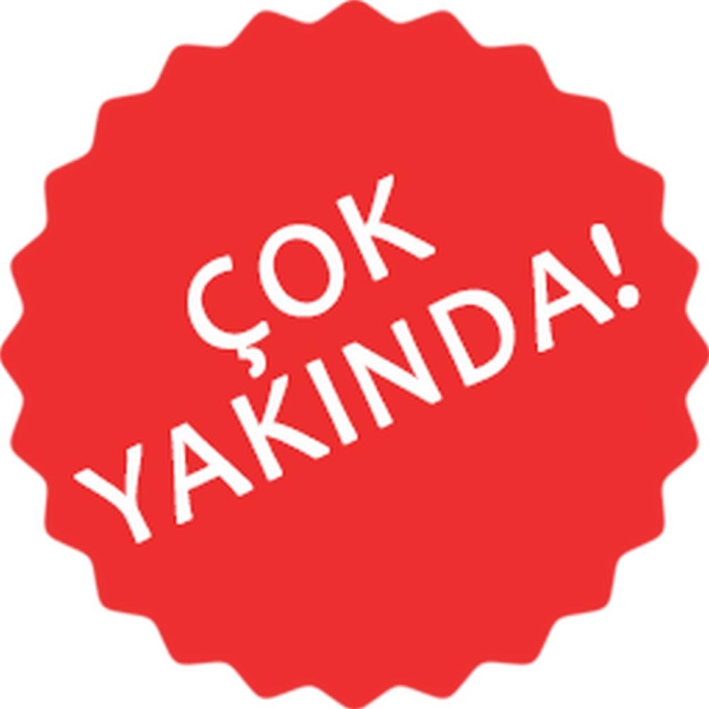 Seat İbiza 2016-2017 9