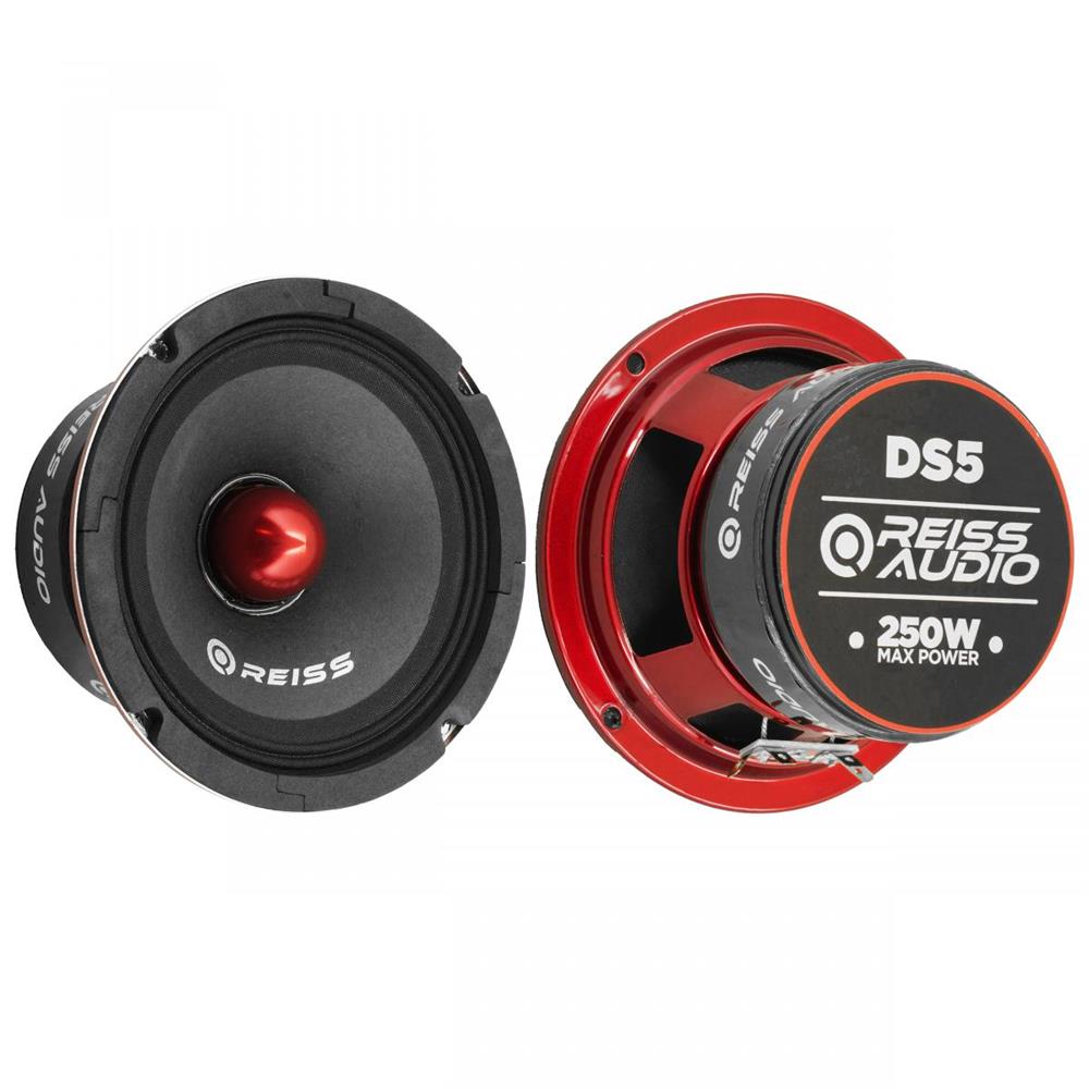 RS-DS5 13 cm Midrange