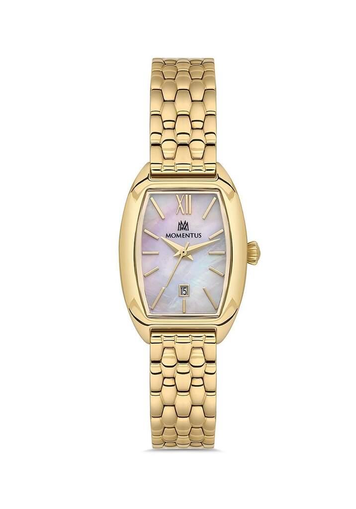 MOMENTUS CW310G-09SG