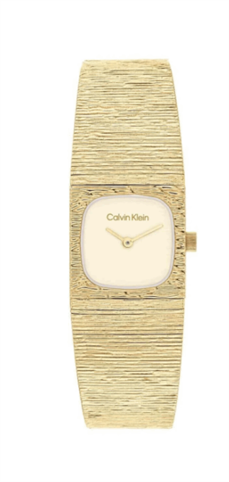 CALVIN KLEIN CK25100178