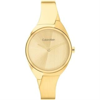 CALVIN KLEIN CK25200235 Kadın Kol Saati