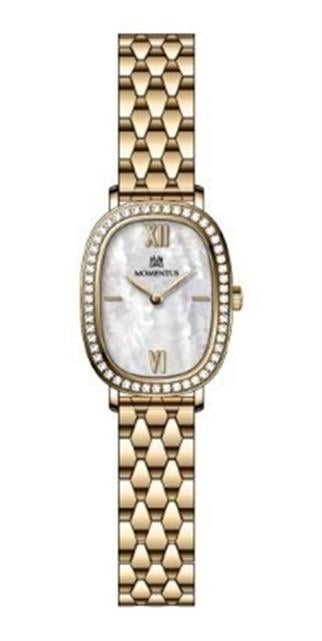 MOMENTUS SS224G-09SG