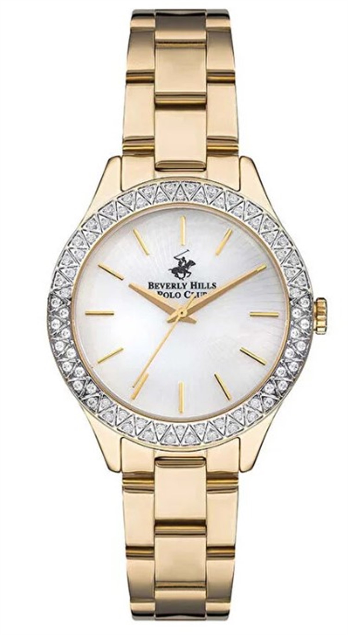 BEVERLY HILLS POLO CLUB BP3291C.120