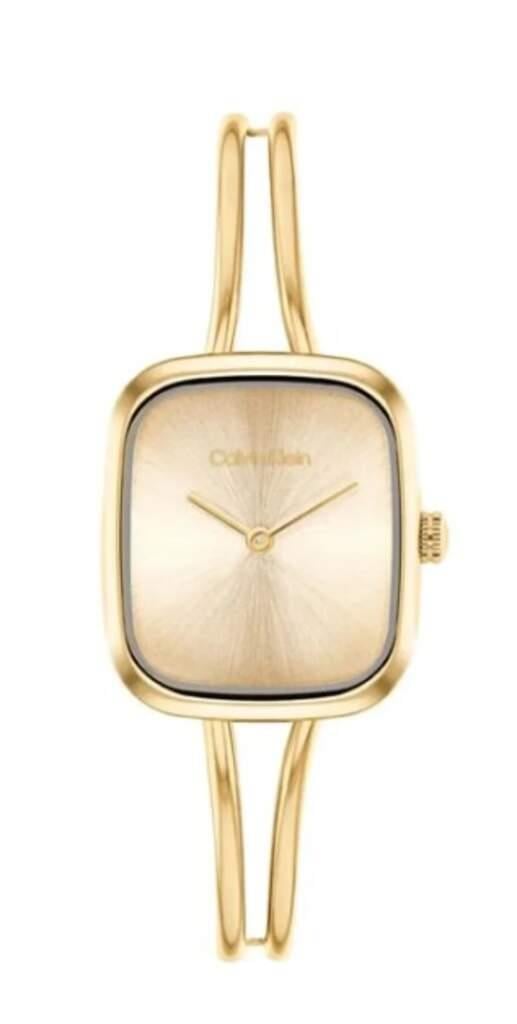 CALVIN KLEIN CK25100132