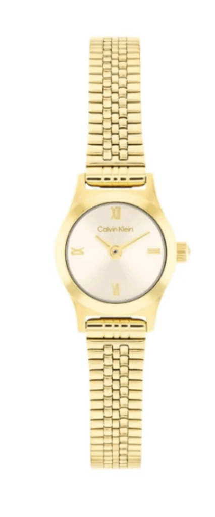 CALVIN KLEIN CK25100201