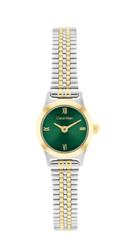 CALVIN KLEIN CK25100202