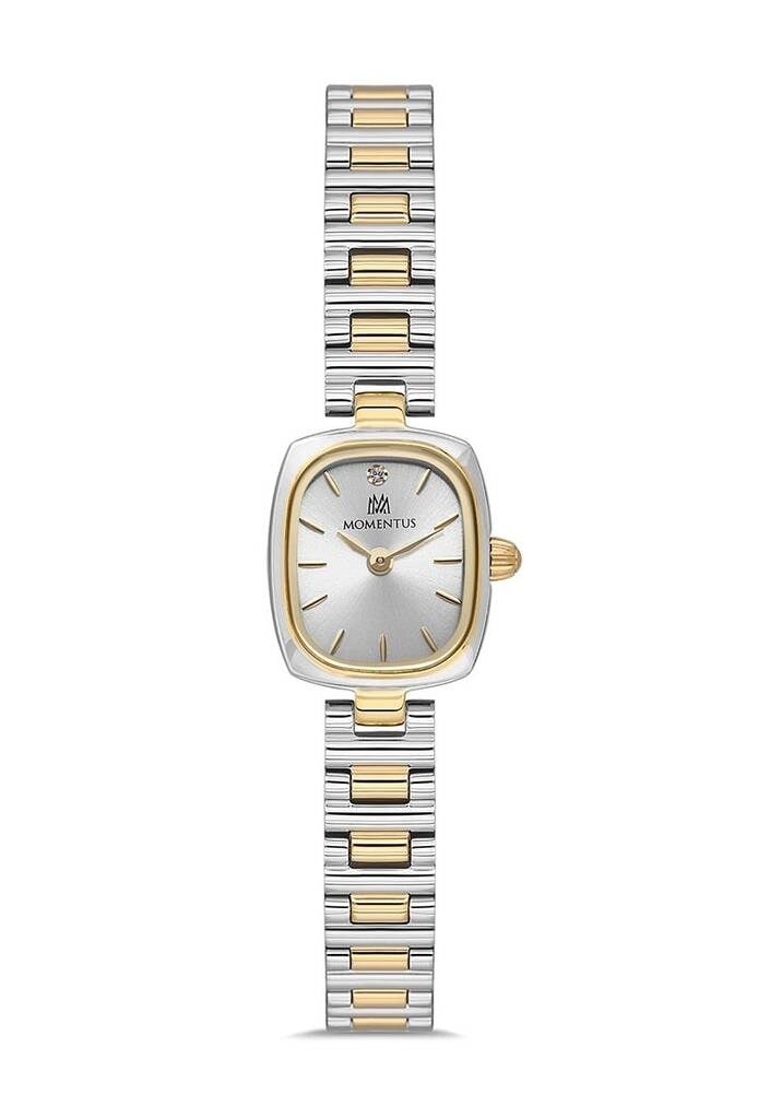 MOMENTUS CW317T-02SG