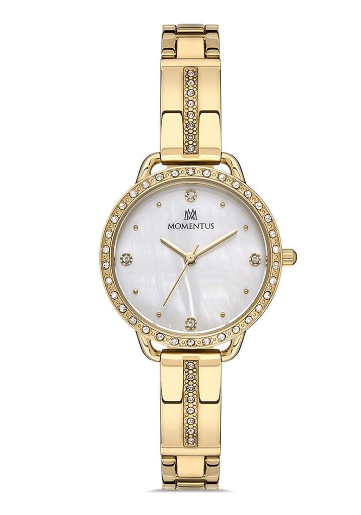 MOMENTUS SW260G-02SG