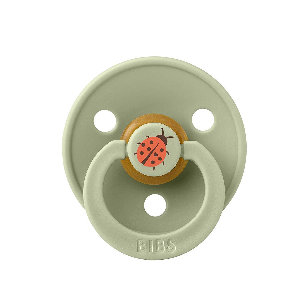 Bıbs Studio Colour Ladybug Emzik-Sage 0-6 Ay
