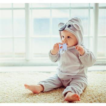 Babyjem Diş Kaşıyıcı Kaktüs Pembe 628