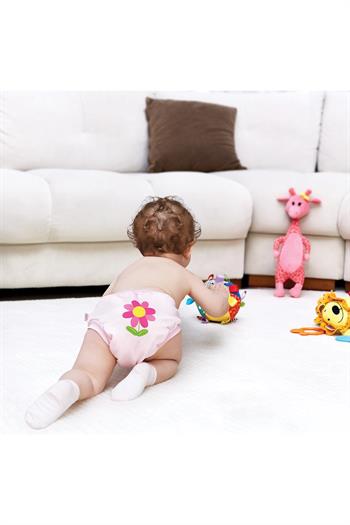 Babyjem Soft Alıştırma Külodu Pembe 2Yaş 244