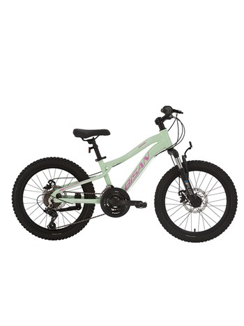 Bisan KDX 2500 D-25 Ürün Rengi: MİNT YEŞİL Kadro: 11