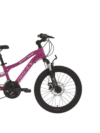 Bisan KDX 2500 D-25 Ürün Rengi: MOR Kadro: 11