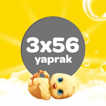Dalin Klasik Islak Havlu 3x56 Adet