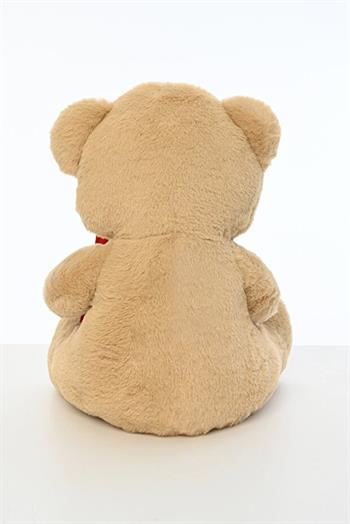 Pufu Toys 40 Cm Mektuplu  Ayıcık (32) 04014