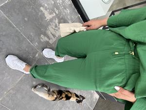 Green V-Neck Set with Necklace