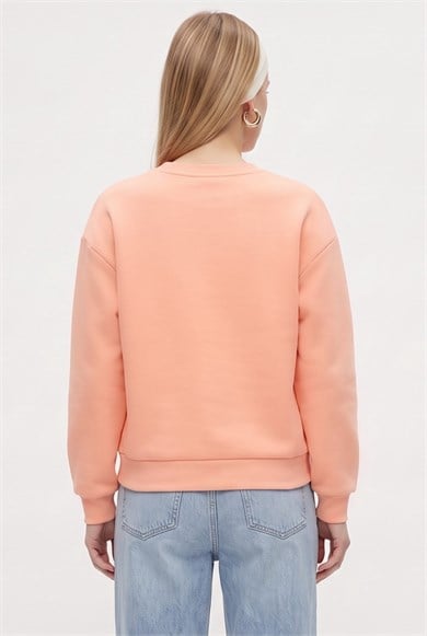 Kadın New Cozy Polarlı Basic Bisiklet Yaka Pamuklu Örme Somon Sweatshirt