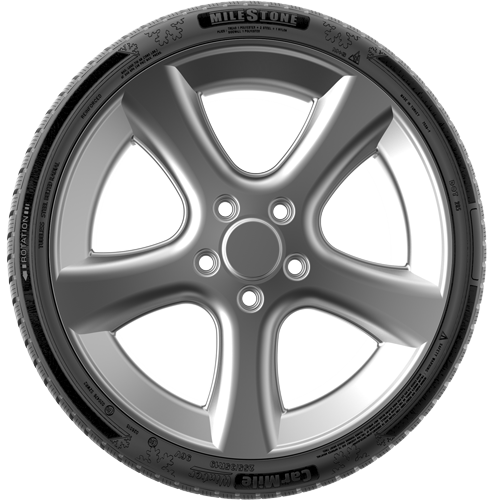 Milestone 195/50 r16 tl 88h reınf carmıle wınter Oto Kış 2024LİNG LONGMilestone126900-24