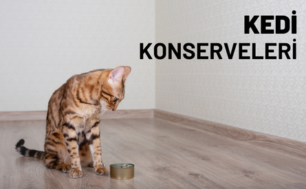 Kedi Konserveleri