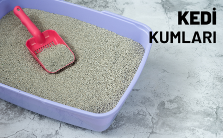 Kedi Kumları
