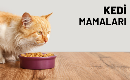 Kedi Mamaları