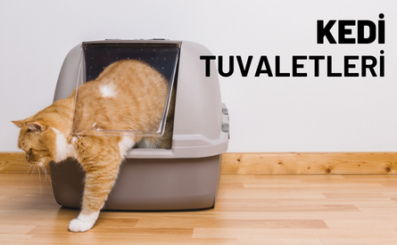 Kedi Tuvaletleri