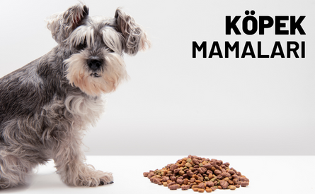 Köpek Mamaları