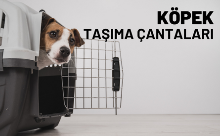 Köpek Taşıma Çantaları