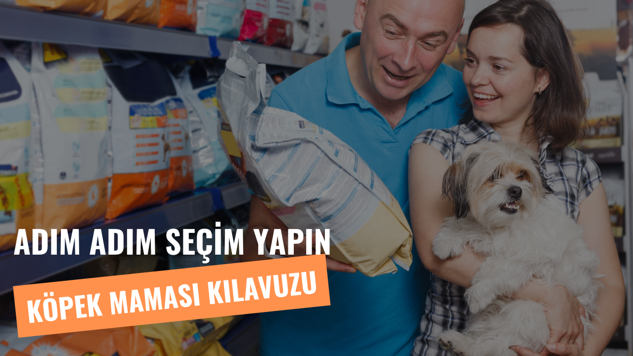 Adım Adım Köpek Maması Seçme Kılavuzu