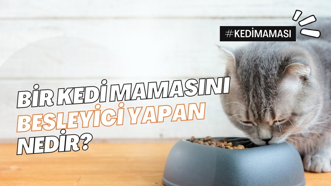 Bir Kedi Mamasını Besleyici Yapan Nedir?