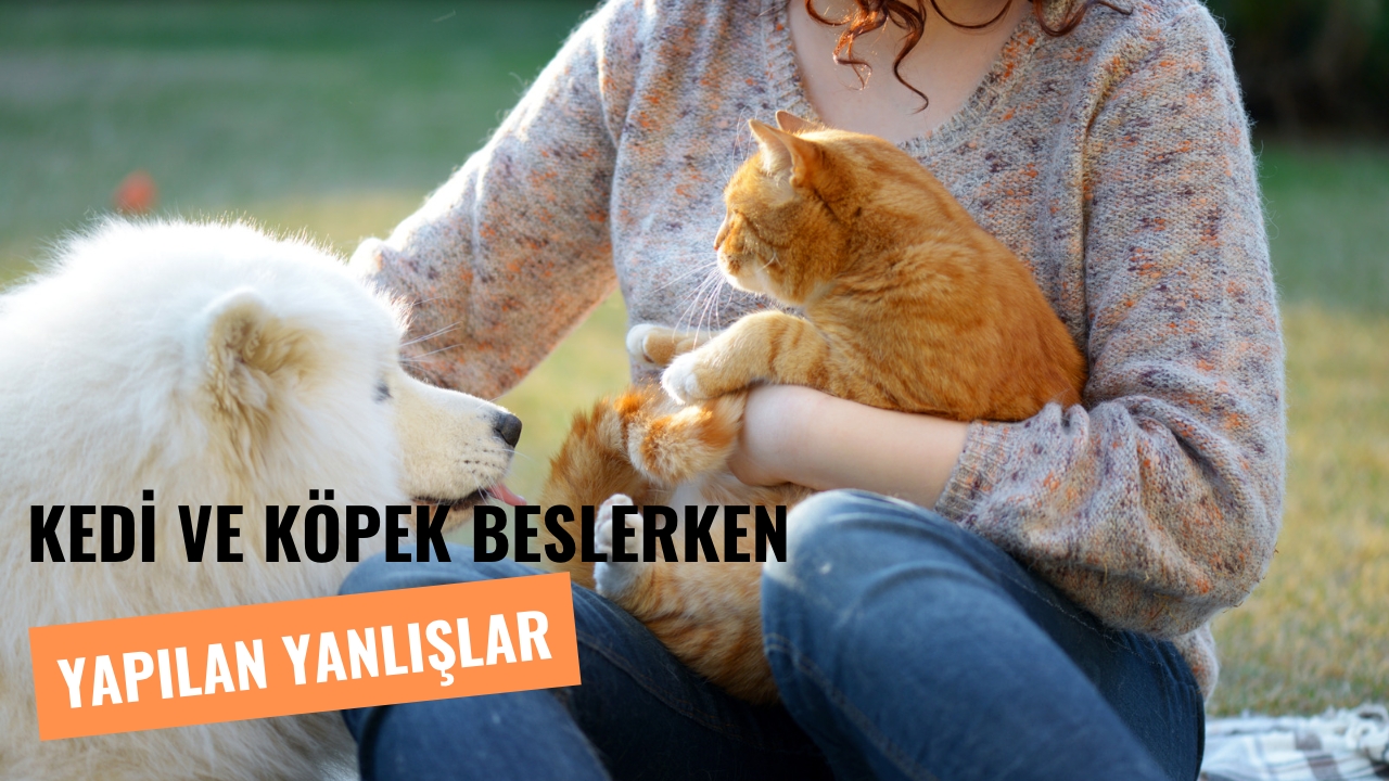 Kedi ve Köpekleri Beslerken Yapılan Yanlışlar