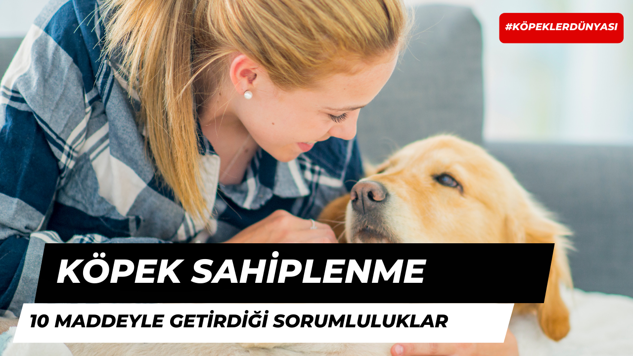 Köpek Sahiplenmenin Getirdiği 10 Önemli Sorumluluk