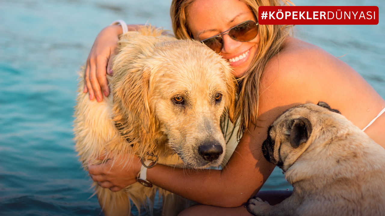 Köpeklerde Kıskançlık: Tüylü Dostunuzun Yeşil Gözlü Canavarıyla Başa Çıkma Rehberi
