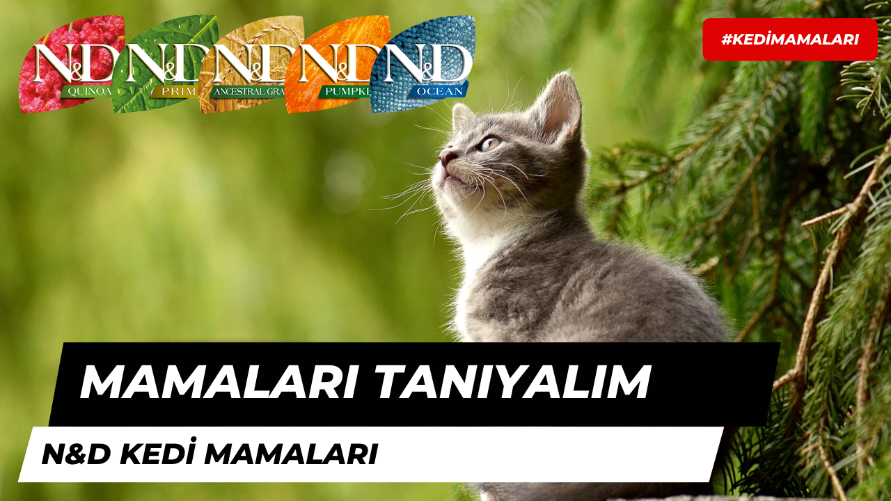 Mama Markalarını Tanıyalım: N&D Kedi Mamaları